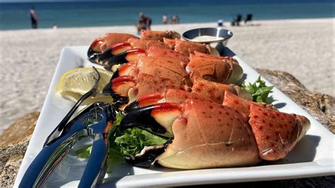 Best Restaurants In Sarasota Bradenton For Seafood Florida Stone Crab