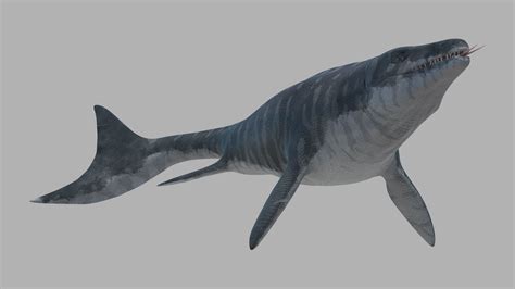 Mosasaurus Hoffmanni Historically Accurate 3d Model Prehistoric