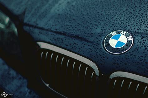 Bmw Logo Hd Wallpaper Wallpapersafari