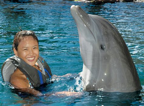 Dolphin Quest Oahu Go Hawaii