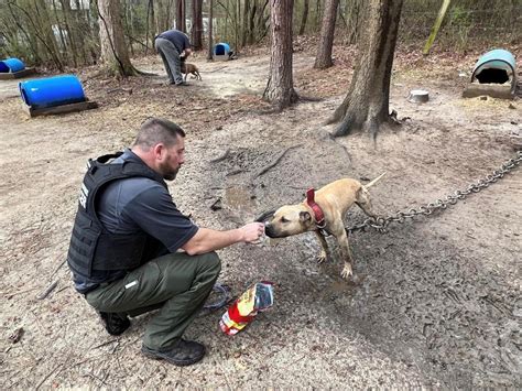 Georgia Police Rescue 17 Pit Bulls From Dog Fighting Property Kept In