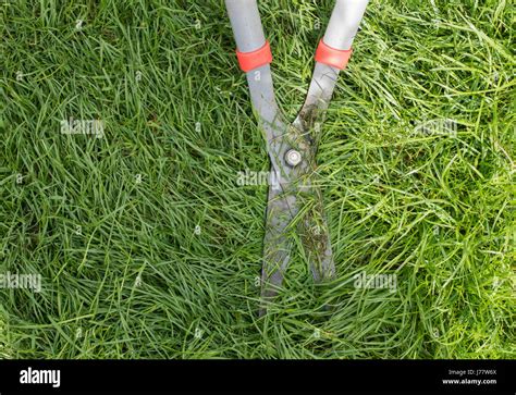 Cutting The Grass With Shears Hi Res Stock Photography And Images Alamy