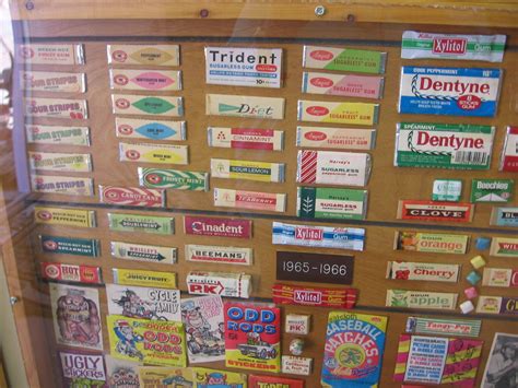 A Most Unusual Museum—gum History News