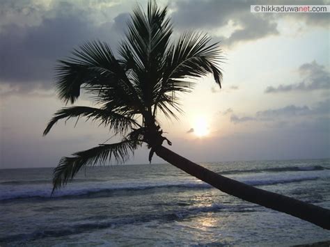 Sunset In Hikkaduwa Wallpapers Tourism Guide To