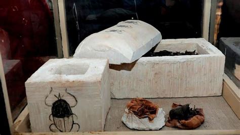 Egipto Devela Siete Tumbas De Los Faraones Con Gatos Y Escarabajos
