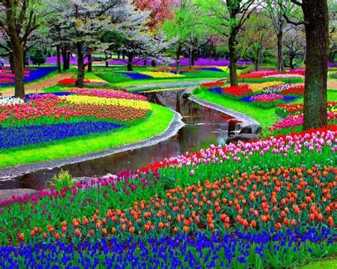 Book the most popular theme parks & amusement parks in amsterdam. Best buildings and Beautiful places of the world: Tulip ...