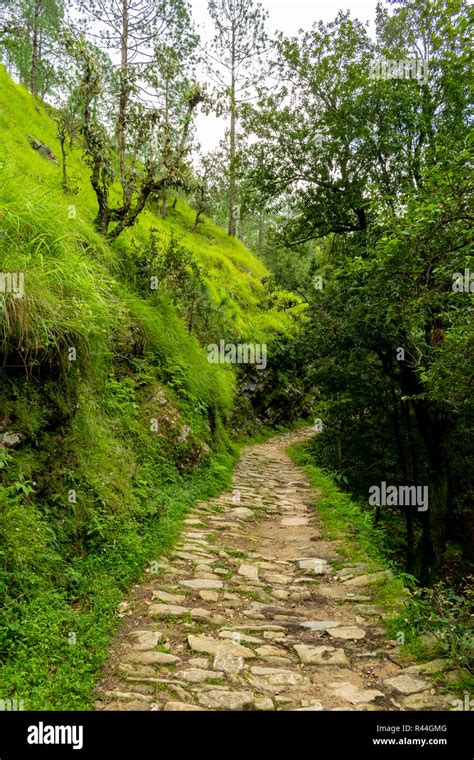 Bhalu Gaad Waterfall Hike Stock Photo Alamy