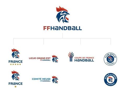 Leroy Tremblot Offre Un Nouveau Logo à La Fédération Française De