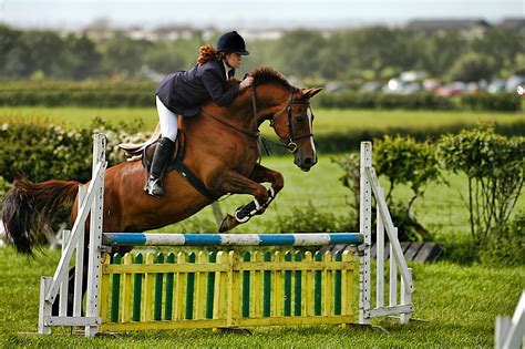 Free Images Hunt Seat Show Jumping Human Action English Riding