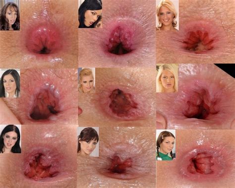 A Collage Pf Porn Star Assholes Can Anyone Name Them Porn Pic