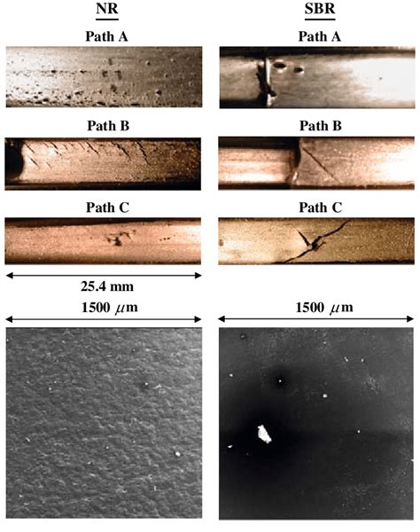 Typical Crack Orientations For Load Paths Ac Along With Microscopic