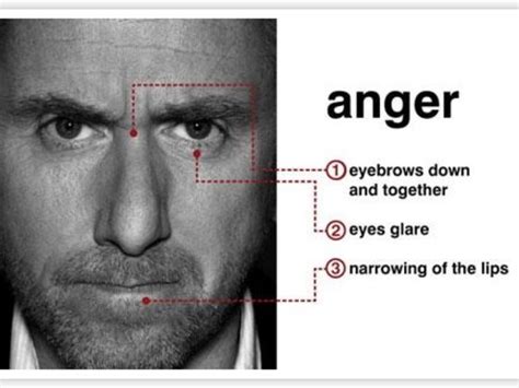 Whats Your Anger Type Quizai