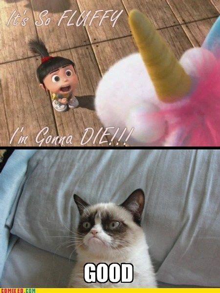 Grumpy Cat Plus Despicable Me Yes Funny Grumpy Cat Memes Funny
