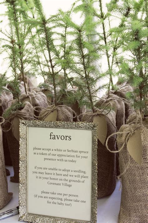 Plant A Tree Wedding Party Favors Mmmm Order From The