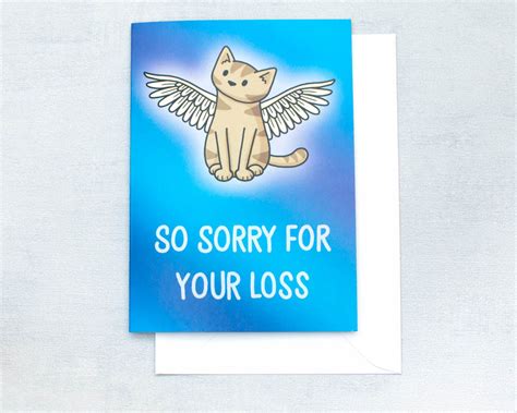 So Sorry For Your Loss Greetings Card Doodlecats Shop
