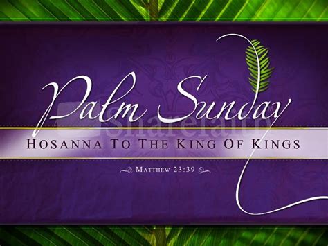 55 Most Adorable Palm Sunday 2017 Wish Pictures And Images