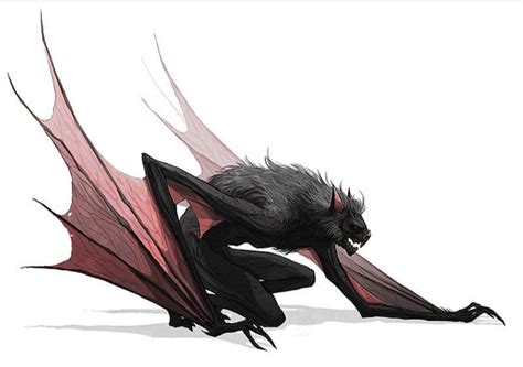 Werebat Creature Design Fantasy Creatures Mythical Creatures Art