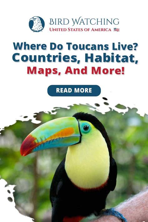 Toucan Habitat Map