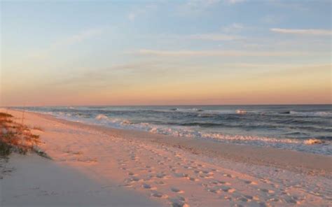 15 Best Shelling And Beachcombing Beaches In Florida