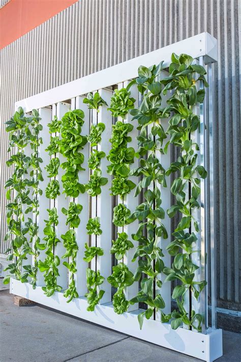 How To Create A Vertical Garden Inside Your Home Practically Functional