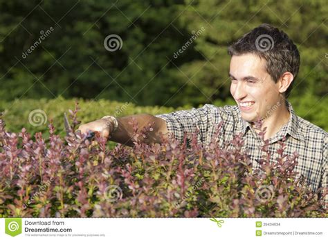 Man Cutting And Trimming Hedges Stock Images Image 25434634