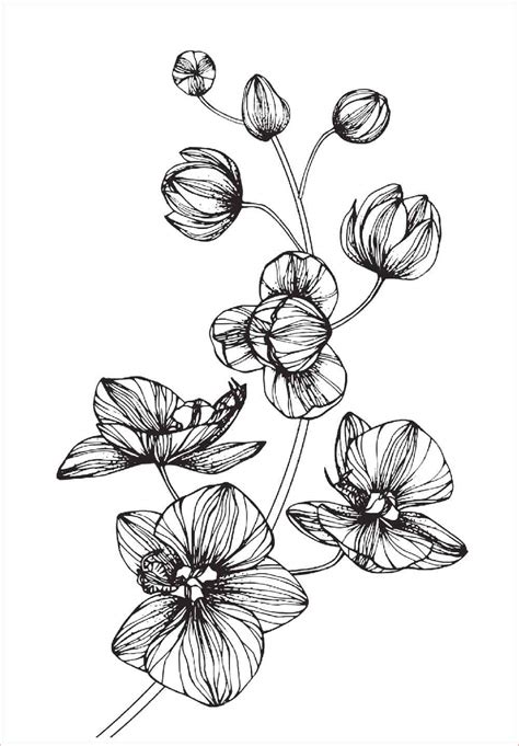 Gambar Batik Bunga Yang Mudah Digambar Di Buku Gambar 30 Gambar