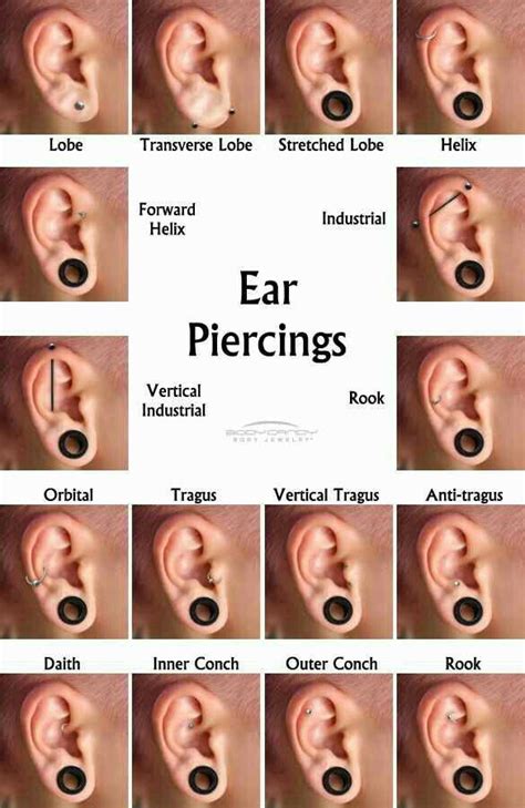 Lobe Ear Piercing Healing Chart