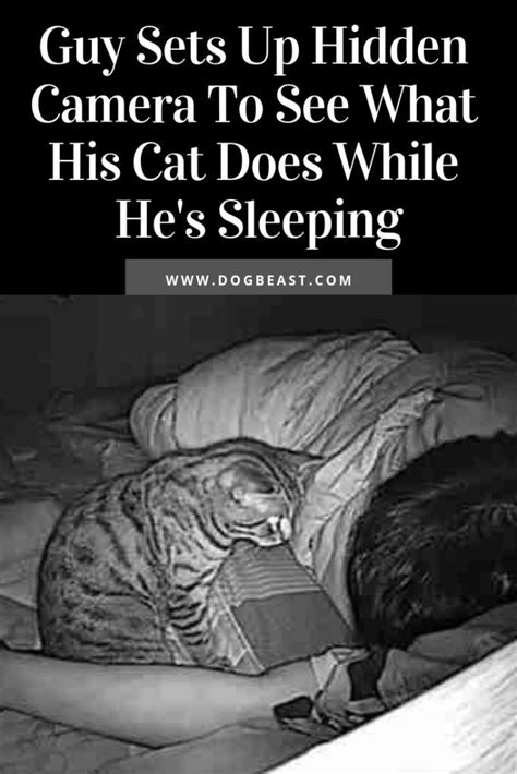 Guy Sets Up Hidden Camera To See What His Cat Does While He’s Sleeping Cats Catlovers Funny