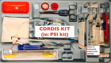 Cordis Placement Pod — Maimonides Emergency Medicine Residency