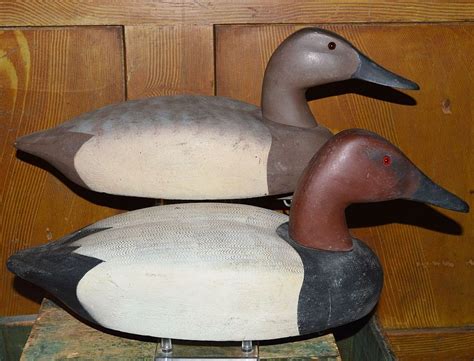 Decoys Unlimited Canvasback Decoy Pair Sold On Ruby Lane
