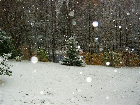 Great Shot Of Our Surprise First Snowfall On Oct 12th Submitted By