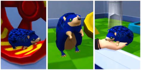 Mod The Sims Sega Certified Hedgehogs By Woopa20 • Sims 4 Downloads