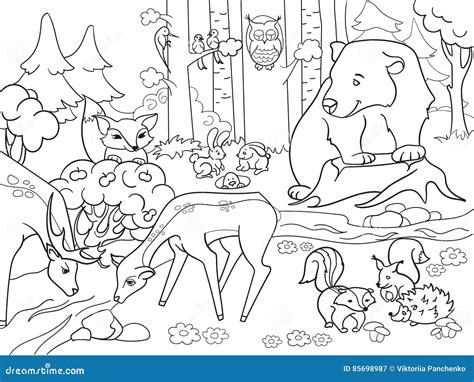 Forest Landscape With Animals Coloring Vector For Adults Cartoon Vector