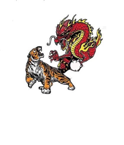 LITTLE DRAGONS PROGRAM The WSMAA LITTLE DRAGONS PROGRAM IS ...