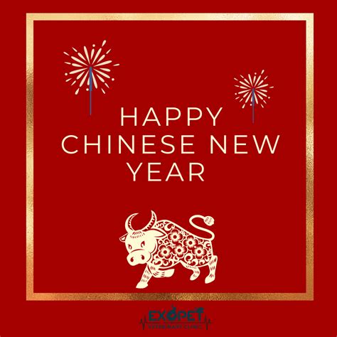 Search local business from pampanga's online business directory. Exopet Veterinary Clinic - Home | Facebook