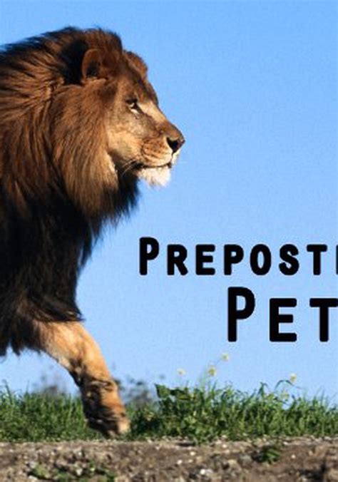 Preposterous Pets Streaming Tv Show Online