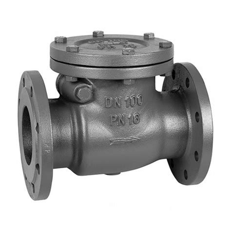 Swing Check Valve Cast Iron Pn16 Flanged Welcome To Oilybits Uk