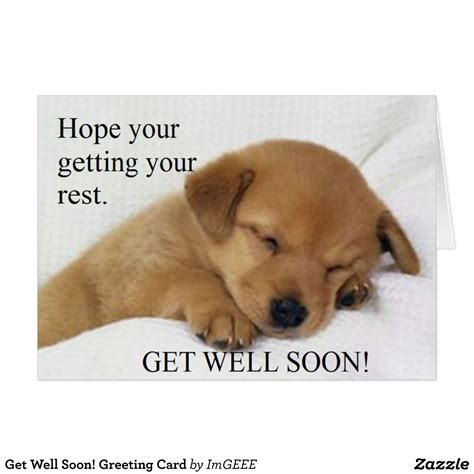 get well soon greeting card zazzle baby animals