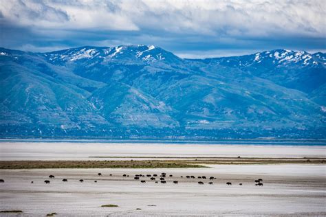 Best Time To See Great Salt Lake In Utah 2024 When To See Roveme