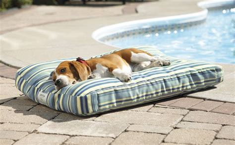 At orvis, we offer a large range of dog bed styles including bolster dog beds, wraparound dog beds, platform dog beds, memory foam dog beds, comfortfill and toughchew dog beds for the persistent nibblers. Enter to Win a $500 Orvis Dogs Gift Card! - Orvis News ...