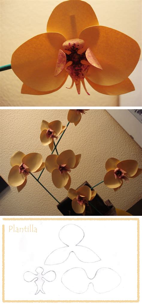 Diy Orchids Flowers Orquideas De Papel Una Plantilla Un Papel Con