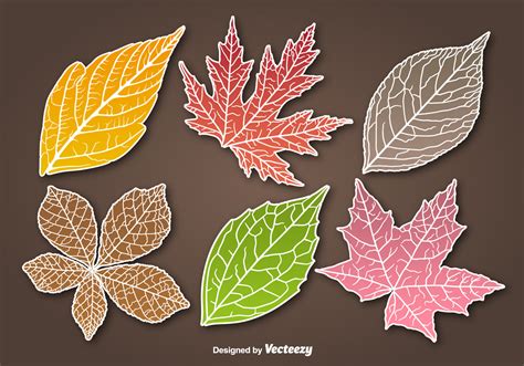 Autumn Leaves Sticker Vectors 98897 Vector Art At Vecteezy