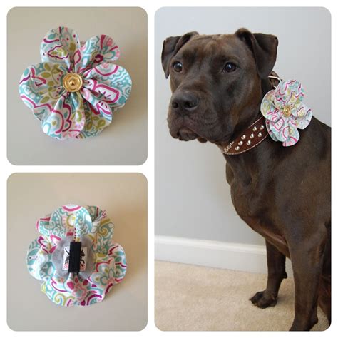 Spring Fabric Flower Dog Park Publishing Di Wants For Glee Diy Dog