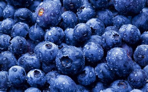 Blueberries Berries Close Up Wallpaper 2560x1600 23903