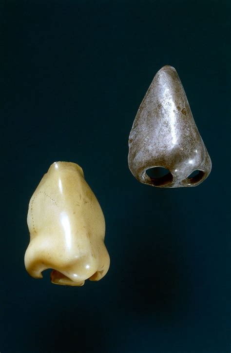 Artificial Noses Prosthetics Through The Years Ingenius Devices