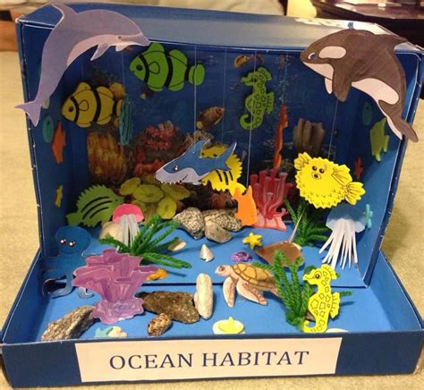 My First Grade Project Ocean Habitat Diorama Other Things I Made