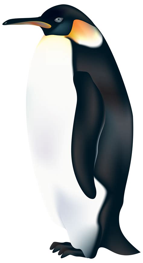 Penguin Clipart Flightless Bird Bird Penguin Transparent Clip Art 31e