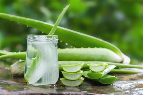 5 Beneficios De Tomar Agua De Aloe Vera