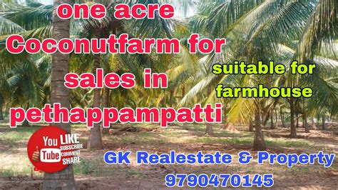 1 Acre Coconutfarm For Sales In Pethappampatti Youtube