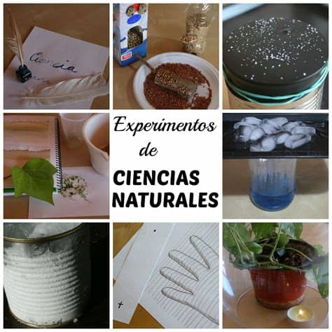 10 reasons to visit casa de la ciencia. Cursos - Cursos experCiencia